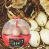 حاضنات Mini 6 Eggs Privator Hatcher Digital Poultry Control Beag Candler for Birds Goose Dick Duck Quail Supplies 230706