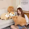 Peluches Peluches 45 / 60cm Simulation Castor Action Figure Nutria Marmotte Jouets En Peluche Poupées Amusantes Fête Des Enfants Anniversaire Garçons Et Filles Cadeaux L230707