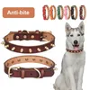 Hundehalsbänder, verschleißfest, gut aussehendes Haustierhalsband aus Polyester, sicher, glattes Nieten-Design