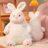 Gefüllte Plüschtiere Neue Lazy Rabbit Puppe Schöne weiche Plüschtier Kawaii Puppe Schlafkissen Stoffpuppe Dekoration Kinder Kinder Geburtstagsgeschenk L230707