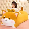 Animaux en peluche en peluche 50/80 cm grand Kawaii peluche chat cochon Akita chien Corgi peluche peluches coussin Animal enfant oreiller poupée cadeaux d'anniversaire pour enfants L230707