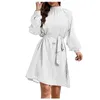 Freizeitkleider Damen Einfarbig Langarm Krawatte Punkt Pullover Kleid Formeller Anlass Abend Locker Sommer