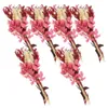 Dekoratif çiçekler 6 demet korunmuş çiçek kuru diy malzemeleri düzenleme dekor boho düğün buket ebedi