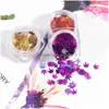 Nail Art Decorations 12Box/Set Nails Maple Leaf Sequins Holographic Fall Leaves Flakes Stickers Laser Glitters Paillette Manicure Dr Dht3Q