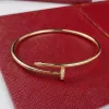 Clou Gold Bangle Fine Nail Argent Sterling Creux Élastique Bracelet Diamant Femme Designer Qualité T0p Reproductions Officielles Cadeaux Premium Avoir Logo