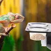 Reptile Supplies Bowl Water Feeder Food Feeding Gecko Dish Lizard Ledge Cup Basin Turtle Container Stable Feeders Worm Tank 230706