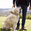 Hundehalsbänder, robustes Halsband, verstellbare Gürtelschnalle aus Metall, wird enger, wenn Hunde ziehen, verhindert ein Herausrutschen – hilft