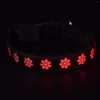 Dog Collars Nylon Adjustable Led And Leashes Rechargeable 8 Color Lights 15 Modes Flashing Collar
