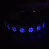 Dog Collars Nylon Adjustable Led And Leashes Rechargeable 8 Color Lights 15 Modes Flashing Collar