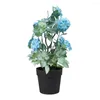 Fiori decorativi 1pc trama limpida pianta in vaso artificiale fantastici centrotavola finta finole simulazione decorazione della casa fiore