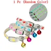 Halsbanden Huisdier Gloeiende Puppy Met Bellen Glow 's Nachts Honden Katten Ketting Licht Lichtgevende Nek Ring Accessoires