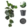 Fleurs décoratives 1 PC plantes artificielles bonsaï simulé vert faux pot bureau Table ornements maison salon jardin décor