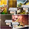 Reptile Supplies Bol Mangeoire à eau Nourriture Gecko Dish Lizard Ledge Cup Bassin Turtle Container Stable Feeders Worm Tank 230706