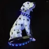 Colliers pour chiens Fournitures Accessoires pour animaux de compagnie Laisse et produits-7 couleurs en 12023