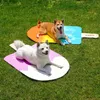 Pet Popsicle Ice Cushion Ice Nest Cooling Cushion Cat And Dog Universal Ice Bed