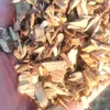 Pó de madeira e serragem para plantar fungos usando fibras de madeira
