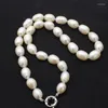 Chaînes ! Perle d'eau douce Oeuf Blanc 11-14mm Collier 17 pouces Nature Vente en gros