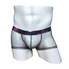 Underpants Mens Transparent Underwear Mesh Male Panties Lace Man Gay Soft Net Yarn Sexy Boxer Summer Thin Breathable