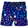 Shorts Masculino 2023 Pintura Artística Impresso em 3D Calças Masculinas de Praia Moda Secagem Rápida Moda de Banho Streetwear Masculino
