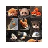 Ferramentas de artesanato não acabadas relaxado kit diy artesanal bolso animal animal de estimação boneca brinquedo lã agulha feltragem cachorro cabeça de gato decoração coelho Y0816 Dro Dhzaw