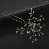 Hair Clips Alloy Gold Color Clear Crystal Bridal Pin Wedding Stick Women Bridesmaids Jewelry Accessories Hairstyling