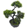 Dekorativa blommor Hylla Bonsaiträd Fake Pine Statyett Små växter Utomhus skrivbordsdekorationer Dekor Abs