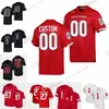 Custom S-6XL NCAA Rutgers Scarlet Knights Football Jersey Powell Gavin Wimsatt Evan Simon Sean Ryan Aaron Young Mike Tverdov Ray Rice Eric LeGrand Anthony Raheem