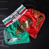 Мужские шорты Muay Thai Shorts Профессиональная санда боксерские костюмы для взрослых. Обучение соревнованиям MMA Fighting Short Pans Boys Boxeo Kickboxing 230707