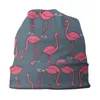 Basker Rosa Flamingo Bird Beanies Kepsar Herr Kvinnor Unisex Streetwear Vinter Varm Stickad Mössa Vuxen Bonnet Hattar