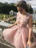 Appliques floreali 3D Abito corto da ballo Alto basso Una linea Tulle rosa chiaro Abiti da festa formale Collo trasparente Abito da ritorno a casa Fiori Pizzo Abbigliamento per occasioni speciali 2023