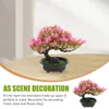 Fiori decorativi Giappone Bonsai artificiale Simulazione Albero Ornamento Legno di pino Decorazione domestica in plastica