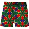 Shorts pour hommes 2023 été mode drôle 3D Style japonais série hommes décontracté séchage rapide pantalons de sport maillots de bain vêtements de plage