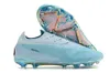 Fußballschuhe Herren Training Phantom GX Elite FG Stollen Gras Jugend Fußballschuhe Sport