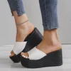 Zapatillas de mujer, sandalias de cuña con plataforma, verano, punta abierta, tiras en la espalda, zapatos informales de talla grande para mujer, calzado elegante