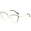 Sunglasses Anti Blue Light Cat Eye Eyeglasses Frames For Ladies Blocking Ray Computer Glasses Women Eyewear Clear Spectacles