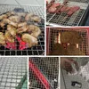 BBQ Grills 47 Maten Vierkante BBQ Grill 304 RVS Mesh BBQ Grills Rooster Rooster Draadrek Carbon Koken Bakken net Koreaanse Barbecue 230707