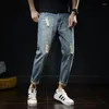 Herren-Jeans, zerrissene, kurze Hose, gerades Bein, Fußumschlag