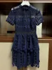 Nuovo S-elf Portrait Lace Slim Fit Slim Dress A-line Dress Celebrity Banquet Holiday Dress Dress