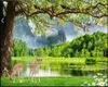 Wallpapers Wallpaper For Kitchen Beautiful Green Lake Lovely Couple Sika Premium Atmospheric Interior Decoration