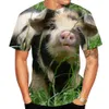 T-shirts pour hommes Imprimé cochon d'été T-shirts pour hommes Funny Piggy Polyester Cool Col rond T-shirts à manches courtes Tops amples T-shirts surdimensionnés 6XL 230710