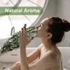 装飾花シャワーユーカリぶら下げユニークな香り天然植物 10 個乾燥ラベンダー葉用