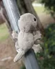 Bambole di peluche Piccolo simpatico geco grigio Giocattoli di peluche Casa morbida Lucertola da parete Rettili di peluche Animali Giocattoli magnetici Regali 230707