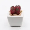 Decorative Flowers Simulated Plant Crassula Fusca Artificial Succulent Plants Bonsai Random Variety Without Flower Pot