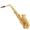 Instruments de saxophone SAX pour débutants niveau de performance d'examen de saxophone alto mi bémol adulte authentique