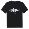 T-shirts pour hommes Hommes Designer Blanc Tête Cassée Requin Classique T-shirt Lâche Mode Cocotier Manches Courtes Été Casual Hommes Plage T-shirts Angelss Tees