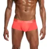 Kalsonger Herr Boxers Ice Silk Silk Man Trosor Seamless Underkläder Sommar Tunna Sexig One Piece Andas Herr Nylon