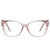 Sonnenbrille Vintage Pink Cat Eye verschreibungspflichtige Lesebrille Damen großer Rahmen Anti-Blaulicht klare Linse Weitsichtigkeit Dioptrien 2,5