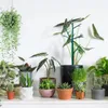 Fleurs décoratives 5 pièces treillis de plantes d'intérieur application large de haute qualité pour les petites plantes légumes en pot