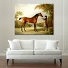 Klassische Leinwandkunst auf dem Land Tristram Shandy A Bay Racehorse George Stubbs Gemälde Pferd handgefertigt von hoher Qualität