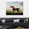 Classical Countryside Canvas Art Lord Grosvenors Sweet William in A Landscape George Stubbs Painting Horse Handmade High Quality